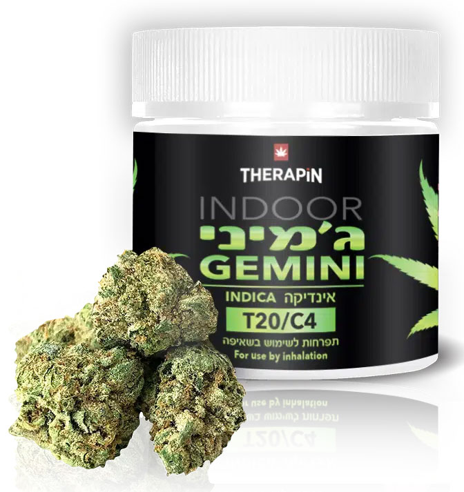 אריזה ג'מיני