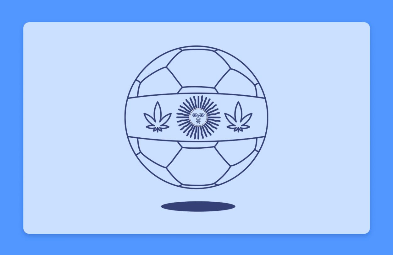 ארגנטינה היא אלופת המונדיאל 22: לכבוד ניצחונה, בדקנו מה מצב הקנאביס במדינה