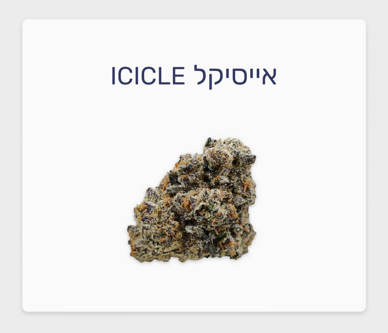 סקירת זן אייסיקל – תפרחת קנאביס רפואי של Qwest, מותג הקראפט פרימיום המוביל בקנדה