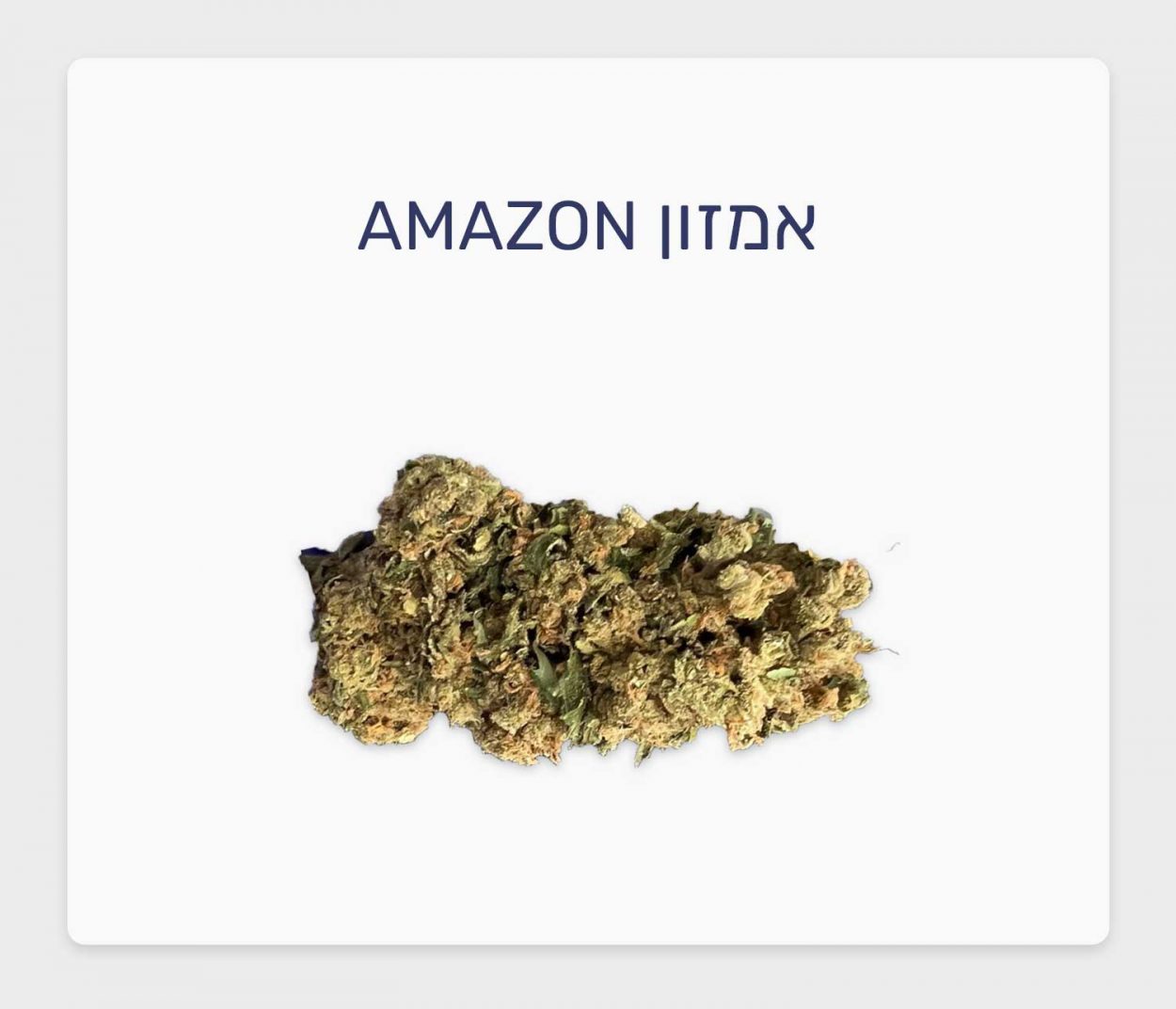 סקירת זן אמזון – תפרחת קנאביס רפואי חדשה עתירת THC של חברת תיקון עולם