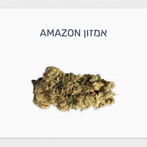 סקירת זן אמזון – תפרחת קנאביס רפואי חדשה עתירת THC של חברת תיקון עולם