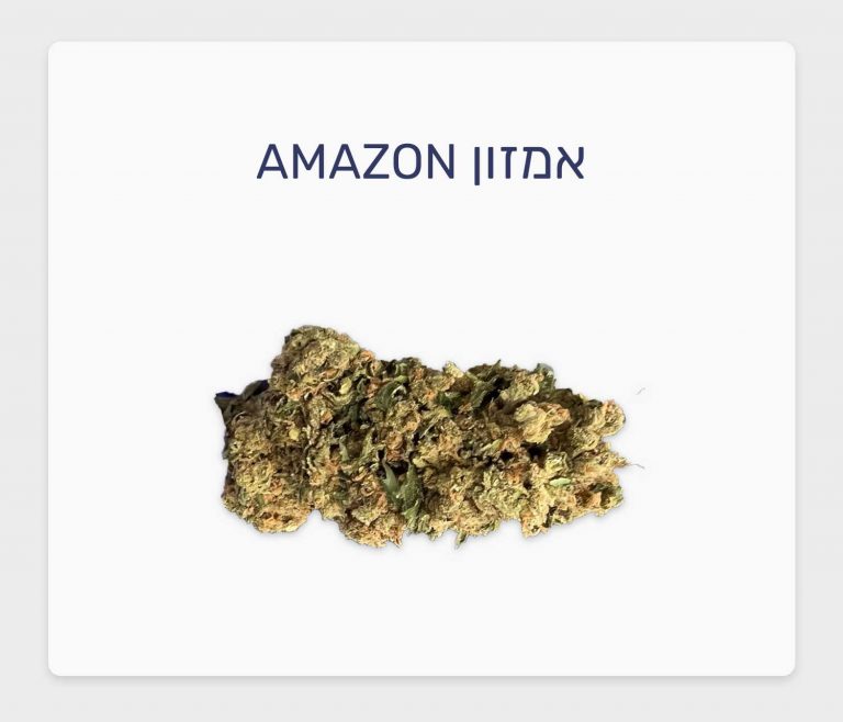 סקירת זן אמזון – תפרחת קנאביס רפואי חדשה עתירת THC של חברת תיקון עולם