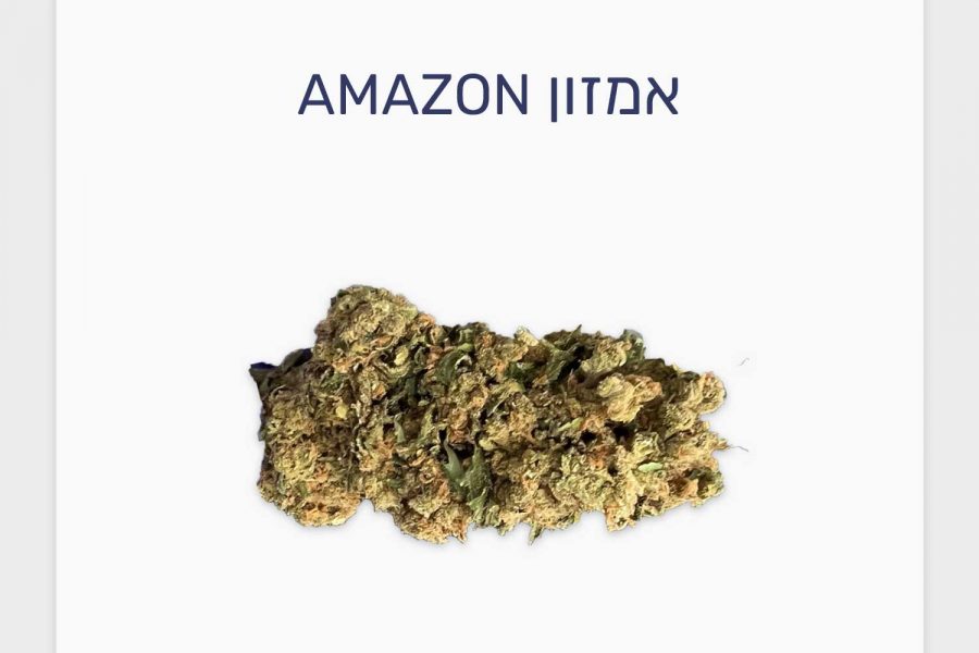 סקירת זן אמזון – תפרחת קנאביס רפואי חדשה עתירת THC של חברת תיקון עולם
