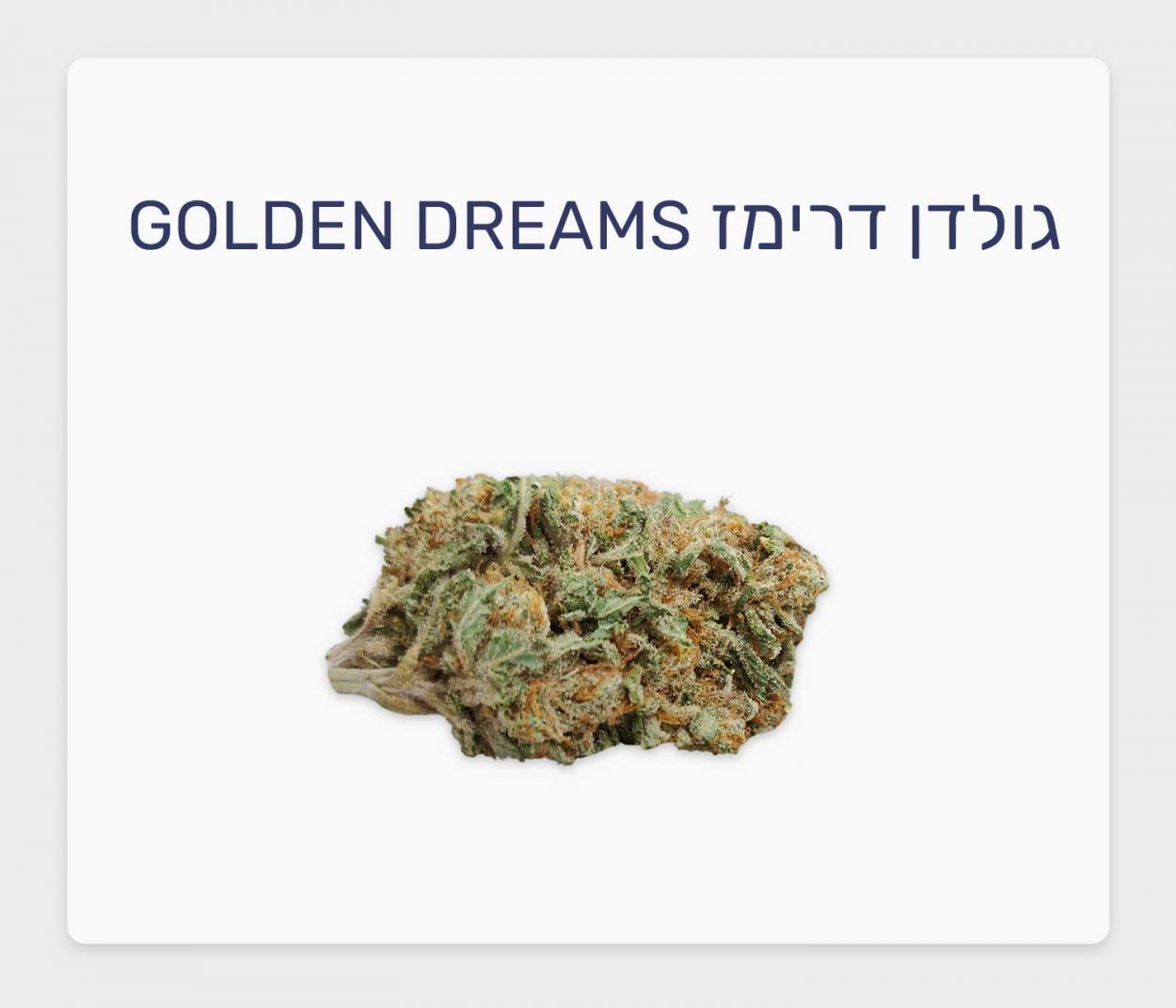 תפרחת עשירה ב-CBD חדשה: זן הקנאביס הרפואי גולדן דרימז מסדרת Secret CBD