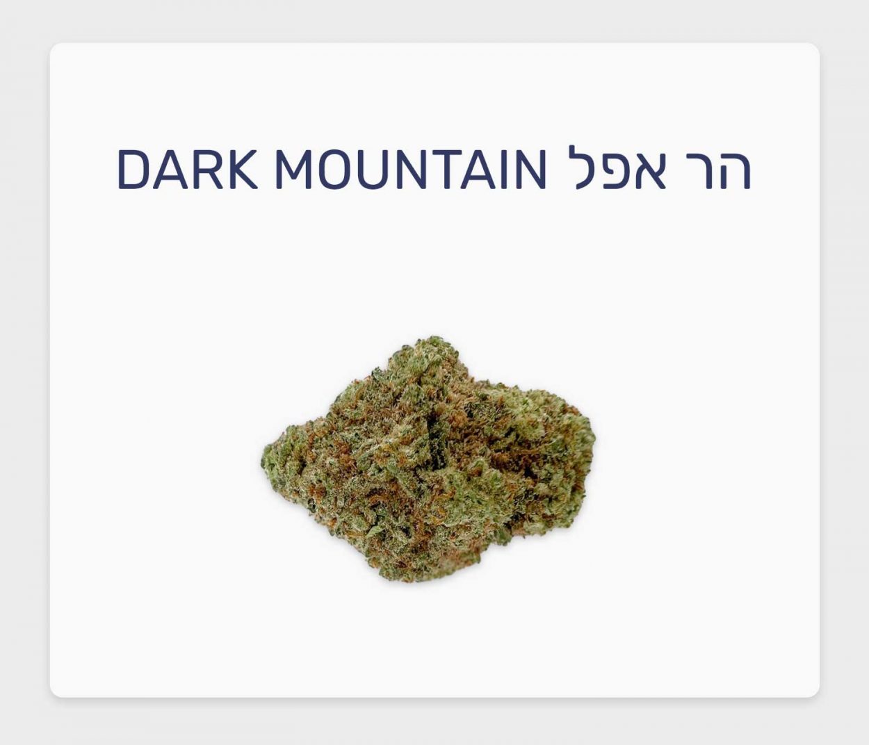 סקירת זן הר אפל Dark Mountain – תפרחת קנאביס חדשה עם גנטיקה חזקה, בזלת