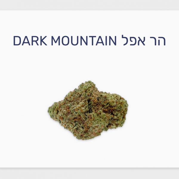 סקירת זן הר אפל Dark Mountain – תפרחת קנאביס חדשה עם גנטיקה חזקה, בזלת
