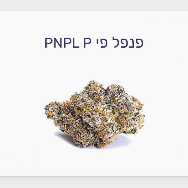 סקירת זן פנפל פי – תפרחת קנאביס רפואי של BLKMKT, מותג הקראפט הפופולרי בקנדה