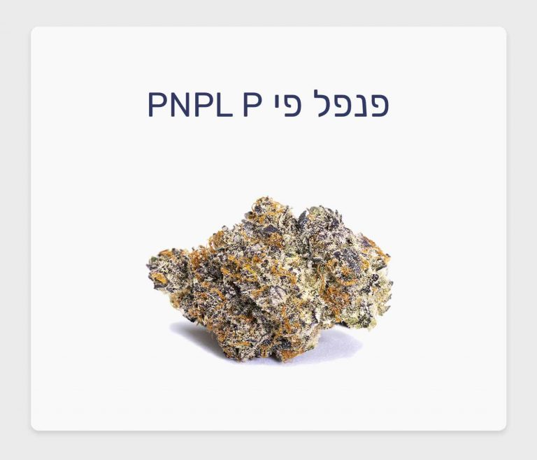 סקירת זן פנפל פי – תפרחת קנאביס רפואי של BLKMKT, מותג הקראפט הפופולרי בקנדה