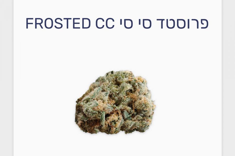 סקירת זן פרוסטד סי סי – תפרחת קנאביס רפואי של Qwest, מותג הקראפט פרימיום המוביל בקנדה
