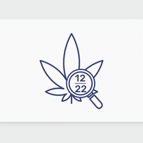 עדכוני קנאביס רפואי, סיכום החודש שהיה דצמבר 22