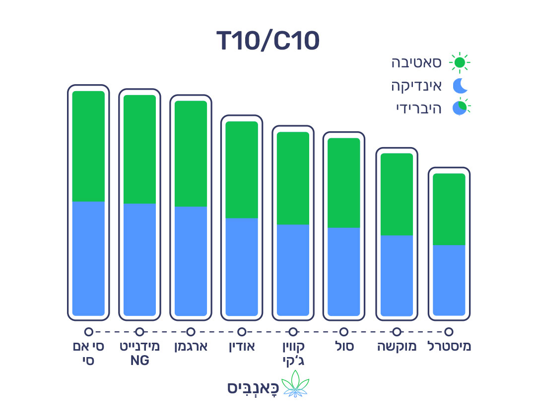 חודשי דצמבר 22 T10