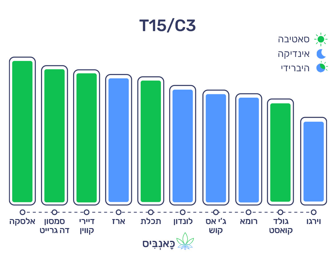 חודשי דצמבר 22 T15