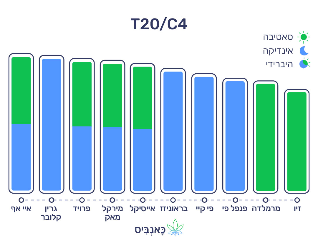 חודשי דצמבר 22 T20