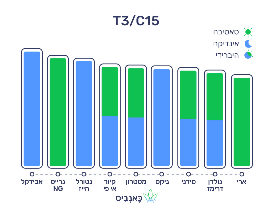 חודשי דצמבר 22 T3