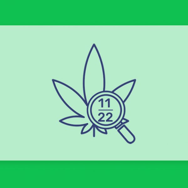 עדכוני קנאביס רפואי, סיכום החודש שהיה נוב' 22