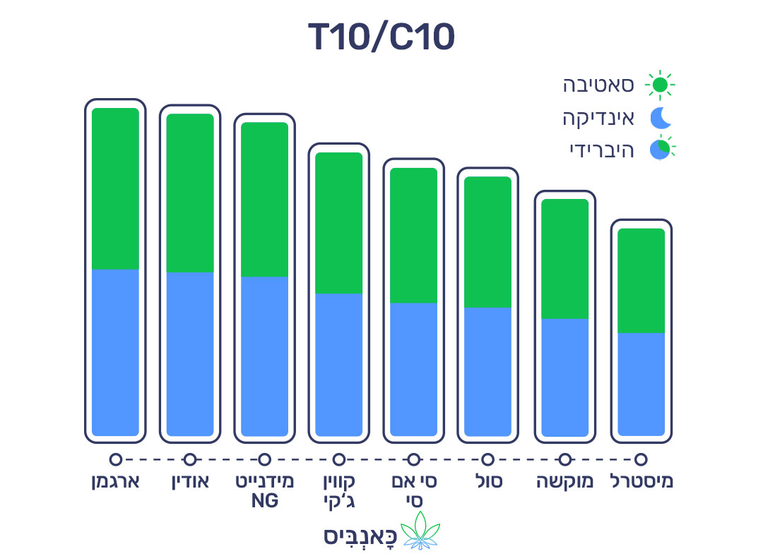 חודשי נובמבר 22 T10