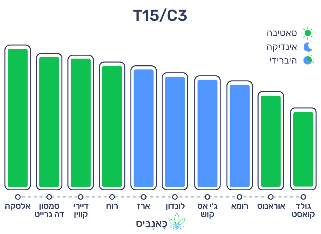 חודשי נובמבר 22 T15
