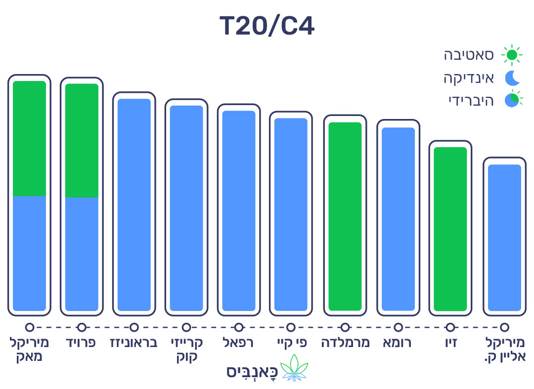 חודשי נובמבר 22 T20