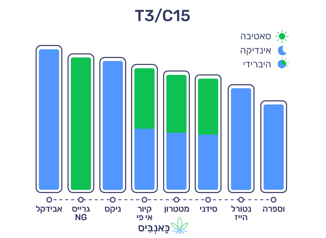 חודשי נובמבר 22 T3