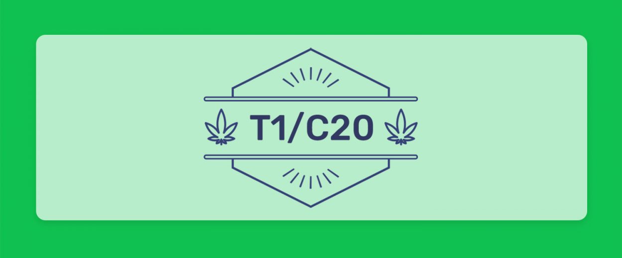 בשורה לאוהבי תפרחות ה-CBD: קטגוריית T1/C20 חוזרת עם הזן האהוב מטטרון של תיקון עולם