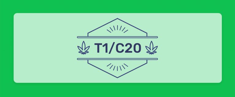 בשורה לאוהבי תפרחות ה-CBD: קטגוריית T1/C20 חוזרת עם הזן האהוב מטטרון של תיקון עולם