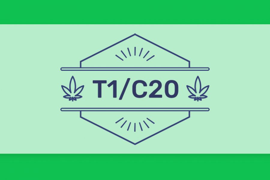 בשורה לאוהבי תפרחות ה-CBD: קטגוריית T1/C20 חוזרת עם הזן האהוב מטטרון של תיקון עולם