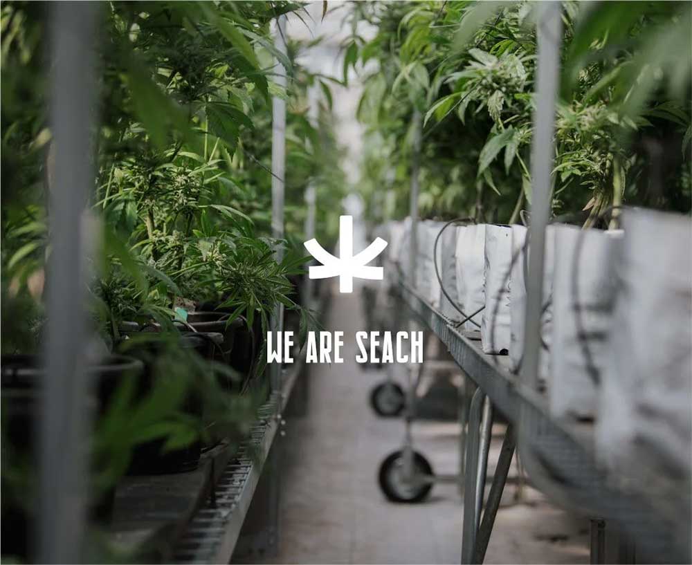 שיח מדיקל גרופ