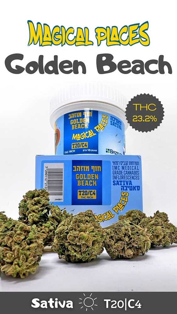 חוף מוזהב בסדרת מג'יקל פלייסס