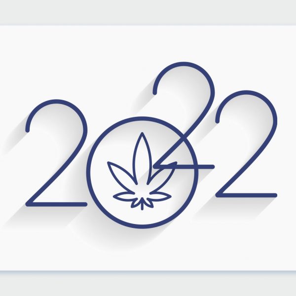 קנאביס רפואי בשנת 2022: נתונים מעודכנים של מטופלי הקנאביס בישראל