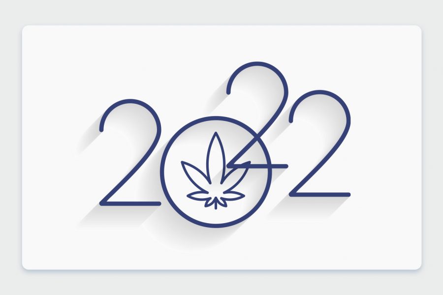 קנאביס רפואי בשנת 2022: נתונים מעודכנים של מטופלי הקנאביס בישראל