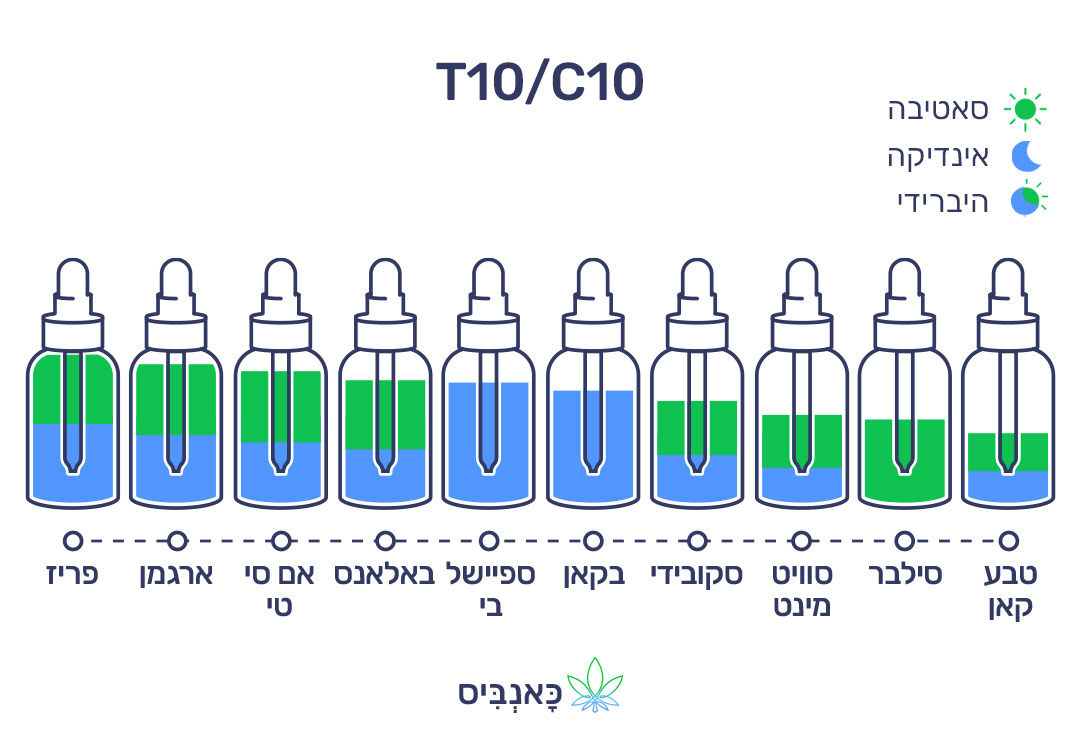חודשי דצמבר 22 T10
