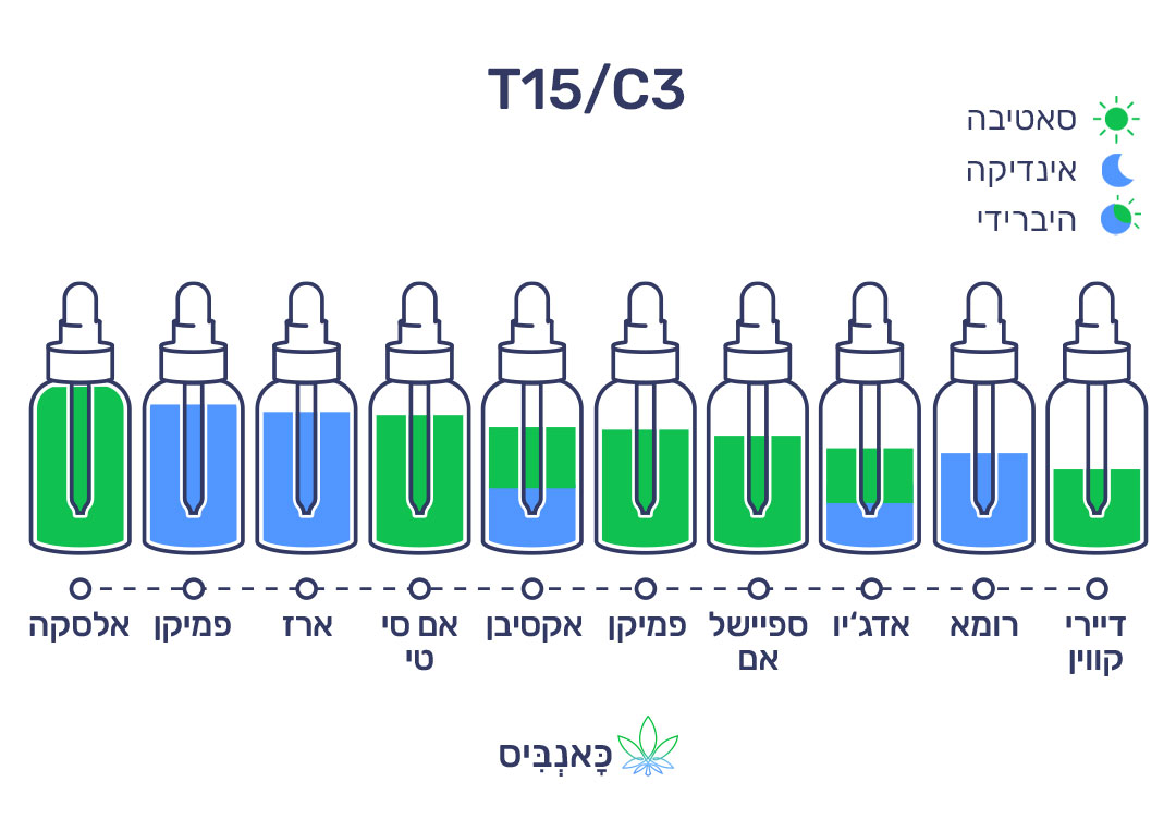 חודשי דצמבר 22 T15