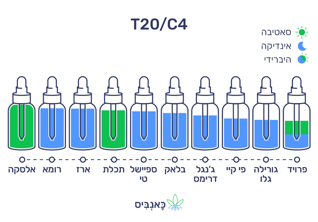 חודשי דצמבר 22 T20