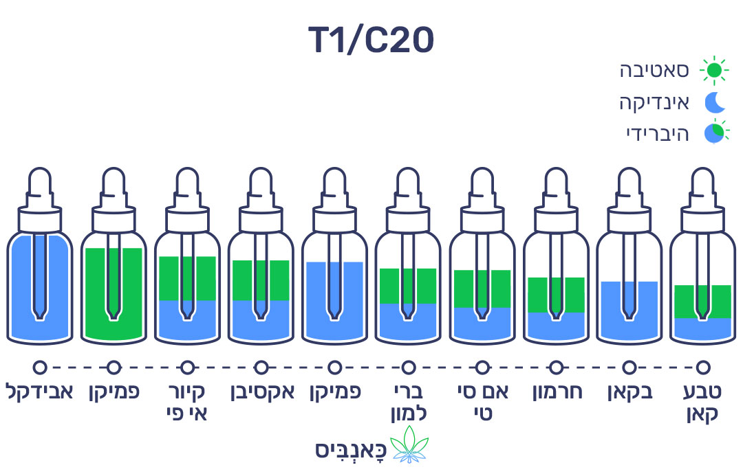 חודשי נובמבר 22 T1