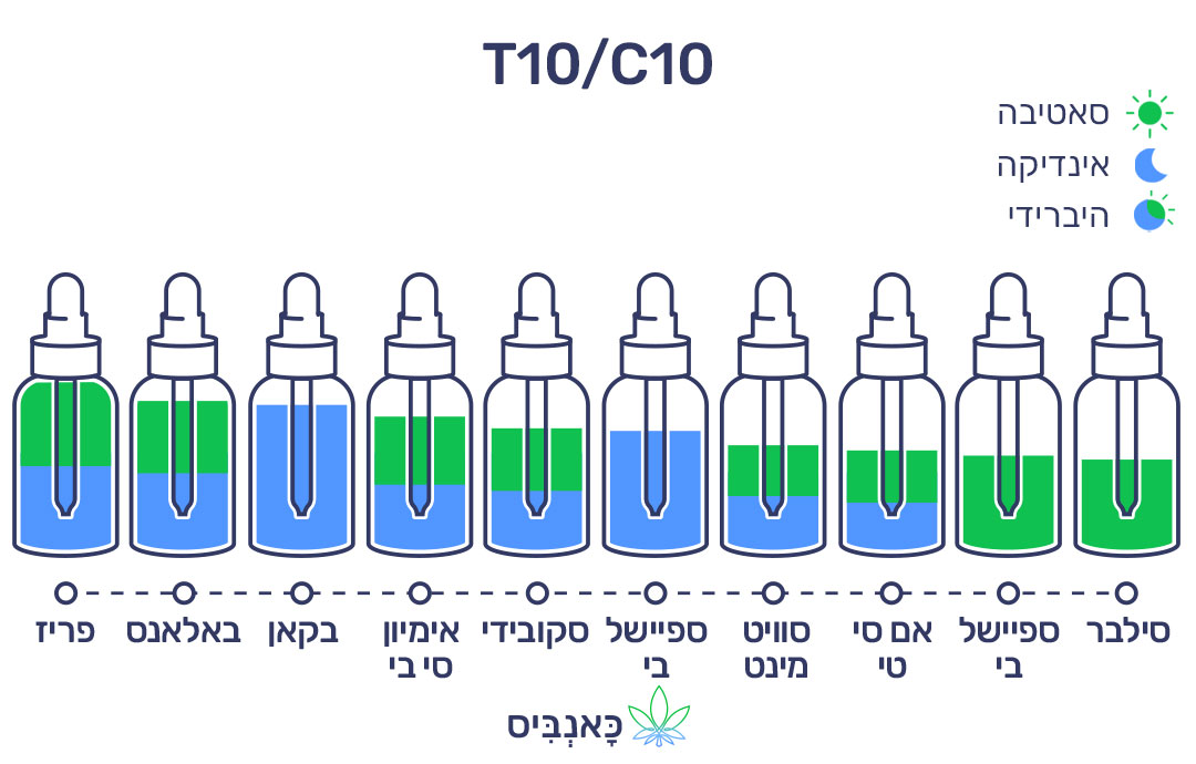 חודשי נובמבר 22 T10