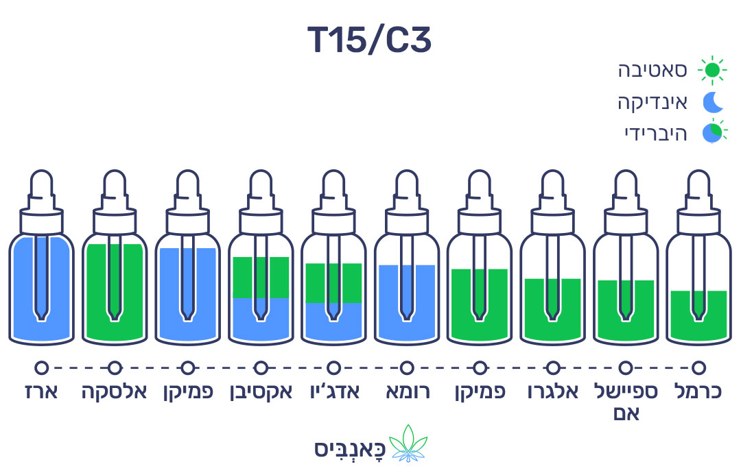 חודשי נובמבר 22 T15