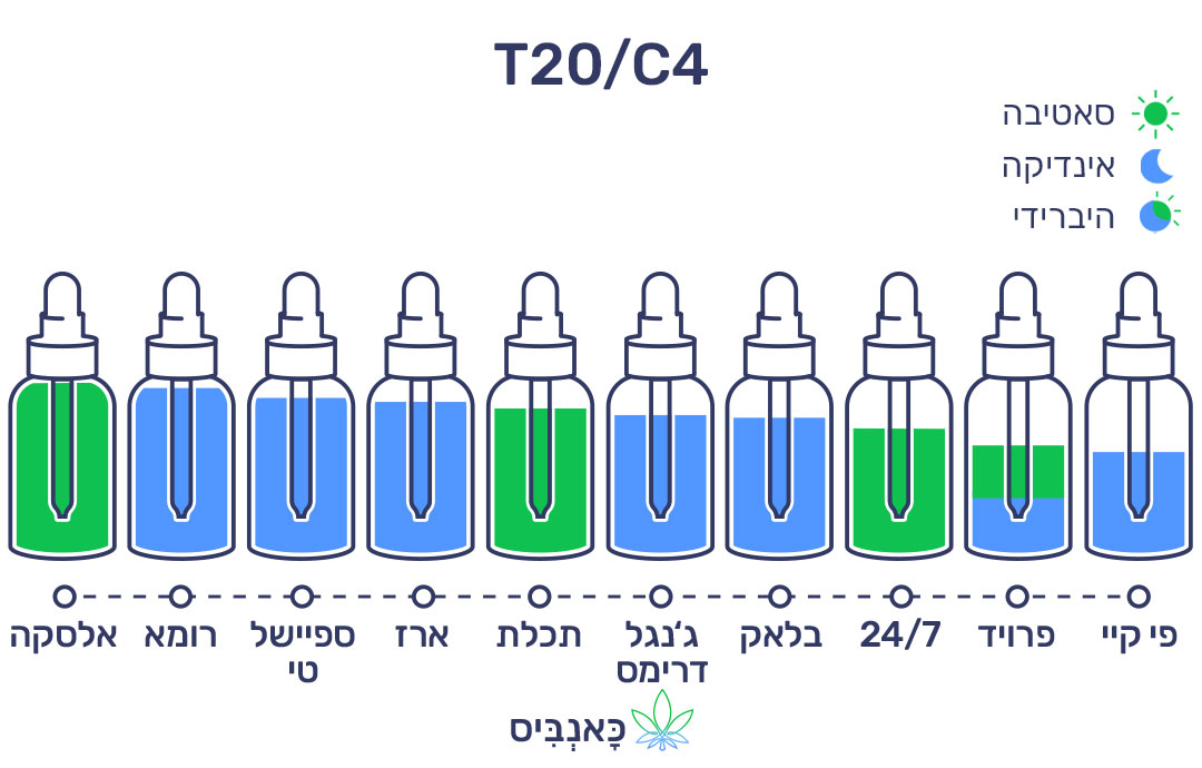חודשי נובמבר 22 T20
