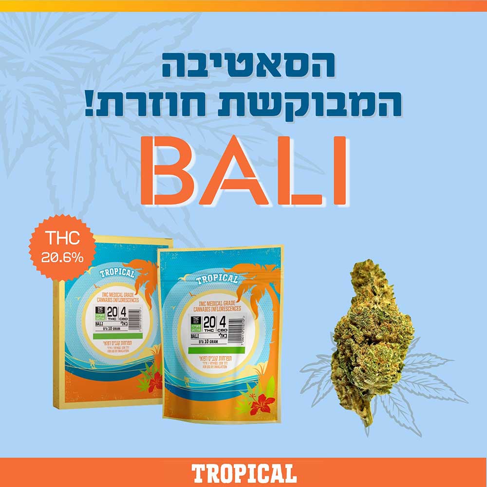 🍀 סקירת תפרחת באלי – זן חוזר באצווה חדשה מסדרת Tropical, בזלת