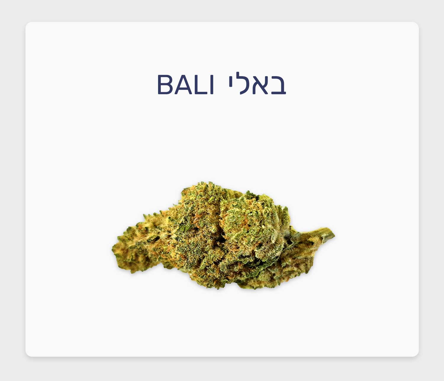🍀 סקירת תפרחת באלי – זן חוזר באצווה חדשה מסדרת Tropical, בזלת