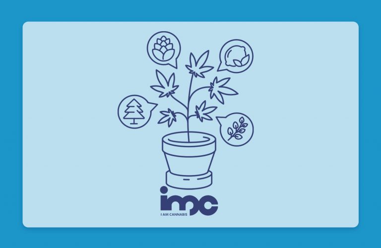 מדברים על טרפנים: פרופיל הטרפנים של זנים שונים בבתי המרקחת - הזן ווטרמלון זקיטלז