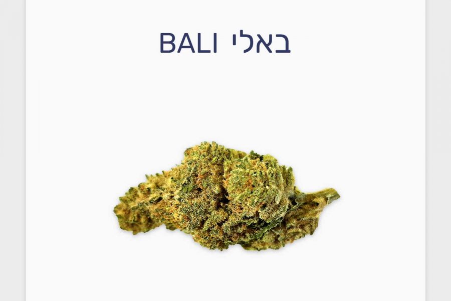 סקירת תפרחת באלי – זן חוזר באצווה חדשה מסדרת Tropical, בזלת