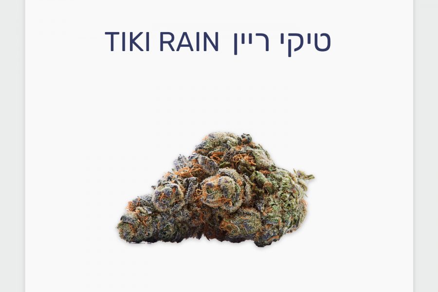 סקירת זן קנאביס רפואי טיקי ריין – סאטיבה קנדית חדשה מבית Wagners