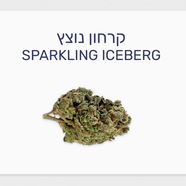 סקירת זן קרחון נוצץ – תפרחת קנאביס בסדרת מג'יקל פלייסס, בזלת