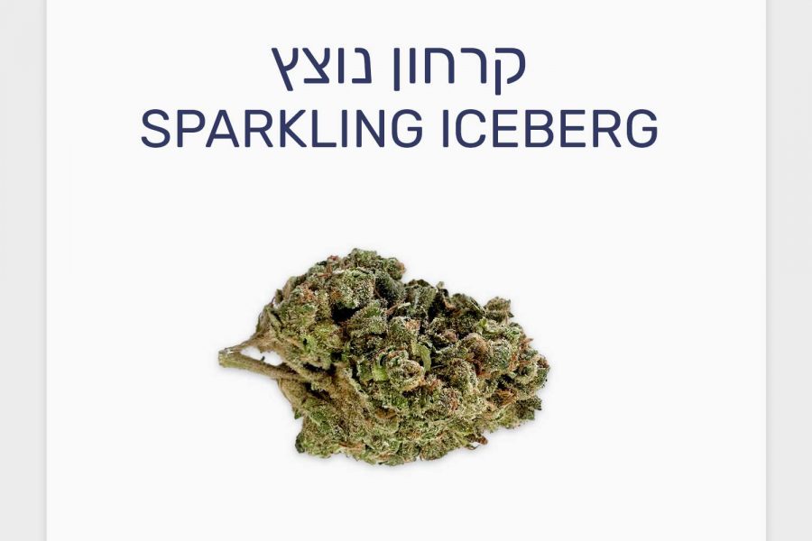 סקירת זן קרחון נוצץ – תפרחת קנאביס בסדרת מג'יקל פלייסס, בזלת