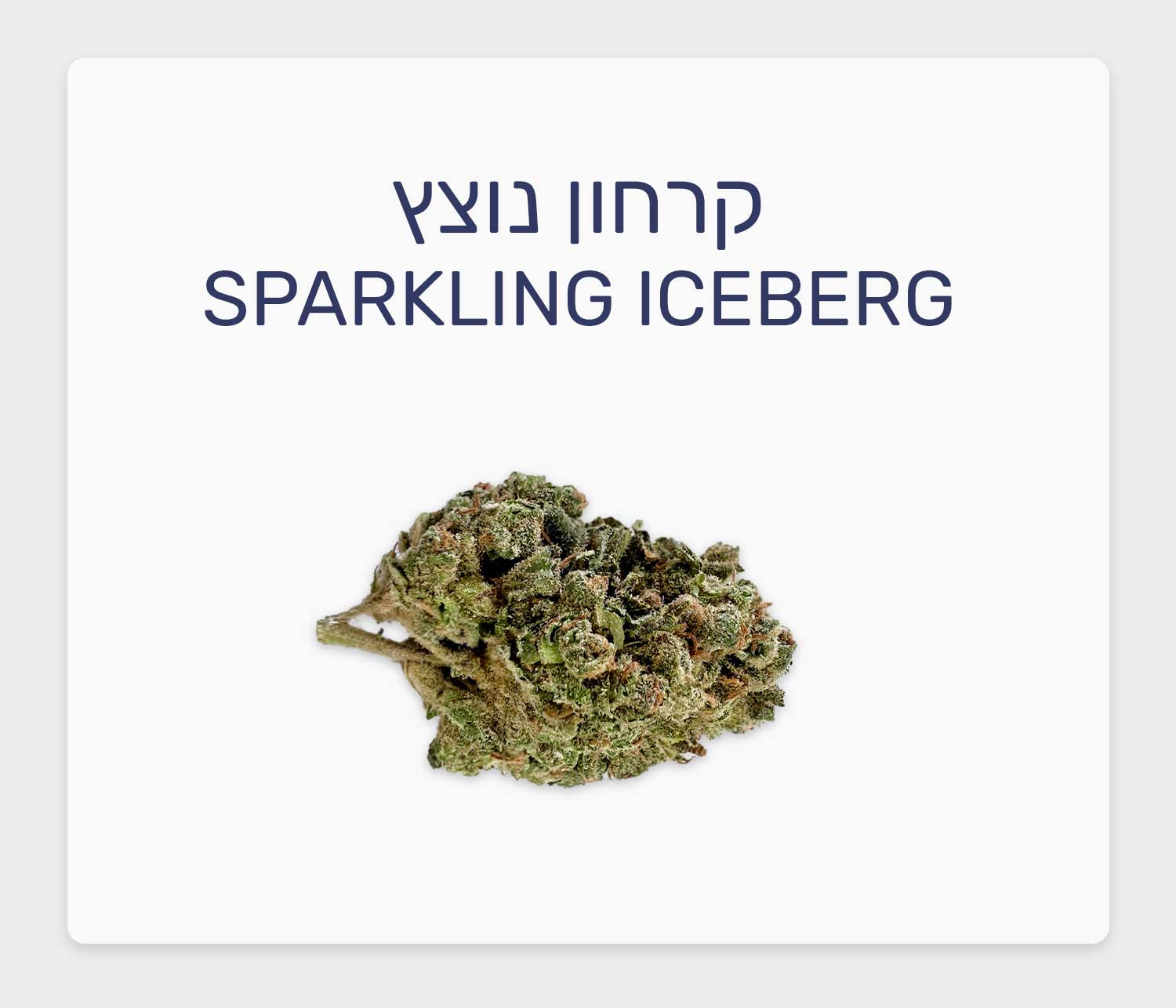 תמונת שער עבור 🍀 סקירת זן קרחון נוצץ Sparkling Iceberg – תפרחת קנאביס בסדרת מג’יקל פלייסס, בזלת