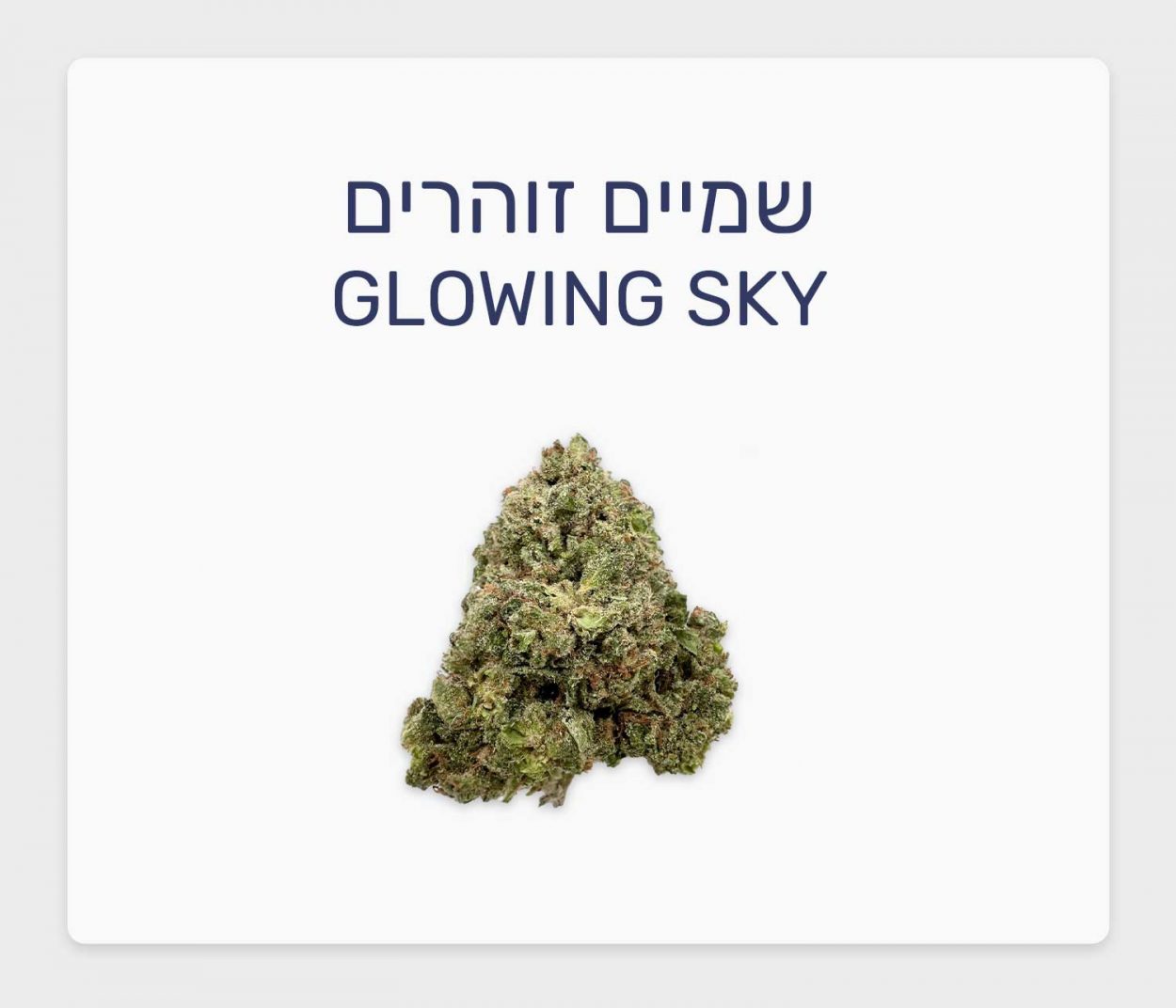 סקירת זן שמיים זוהרים Glowing Sky – תפרחת קנאביס בסדרת מג'יקל פלייסס, בזלת