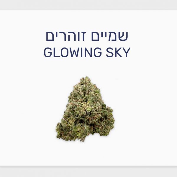 סקירת זן שמיים זוהרים Glowing Sky – תפרחת קנאביס בסדרת מג'יקל פלייסס, בזלת