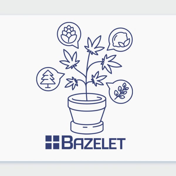 מדברים על טרפנים: פרופיל הטרפנים של זנים שונים בבתי המרקחת - הזן ניקס NYX