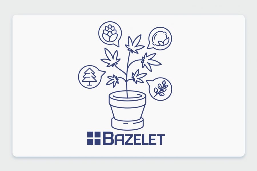 מדברים על טרפנים: פרופיל הטרפנים של זנים שונים בבתי המרקחת - הזן ניקס NYX