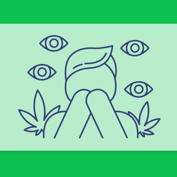 למה קנאביס יכול לגרום לפרנויה אצל אנשים מסוימים וזני CBD לאיזון והקלה